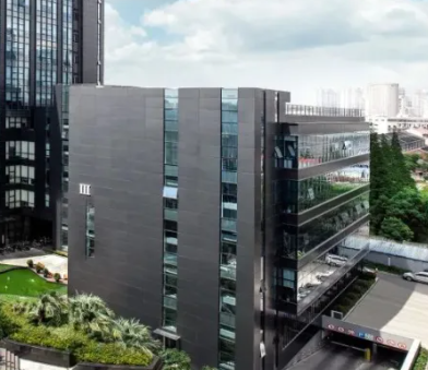 热门工具下载市场分析：2024年最佳效率工具